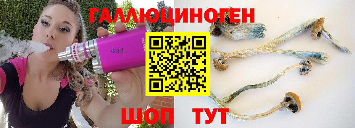 Псилоцибиновые грибы Cubensis  Псилоцибиновые грибы мухоморы  Вход с VPN  Кингисепп 